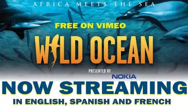 Película documental Océano salvaje gratis Película documental Océano salvaje gratis