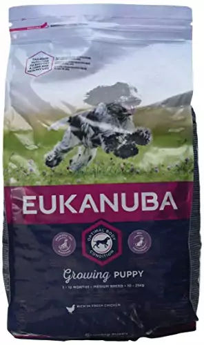 Croquetas para Cachorros-- Pack de 3 Croquetas para Cachorros-- Pack de 3