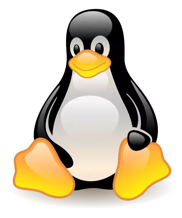 Curso Linux para principiantes absolutos Udemy Curso Linux para principiantes absolutos Udemy
