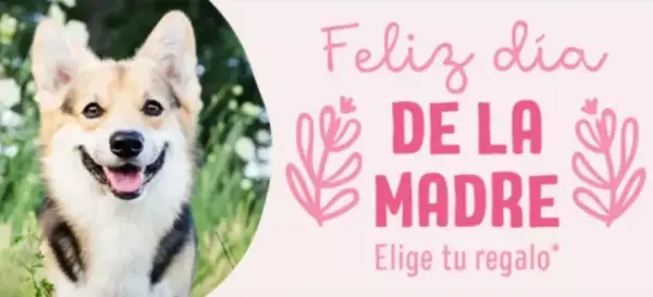 Envío gratis (pedidos +15€) + cupones en Zooplus Envío gratis (pedidos +15€) + cupones en Zooplus