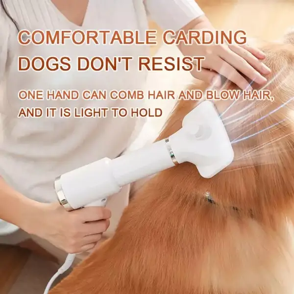Secador de pelo para mascotas Secador de pelo para mascotas