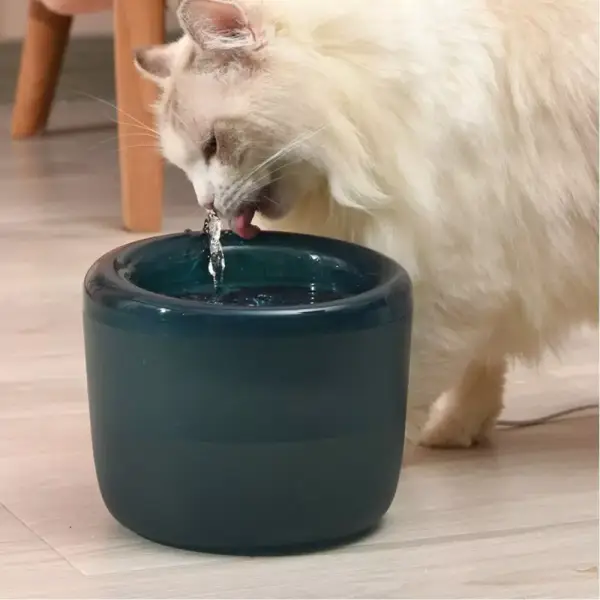 Dispensador de agua para mascotas 1.6L Dispensador de agua para mascotas 1.6L