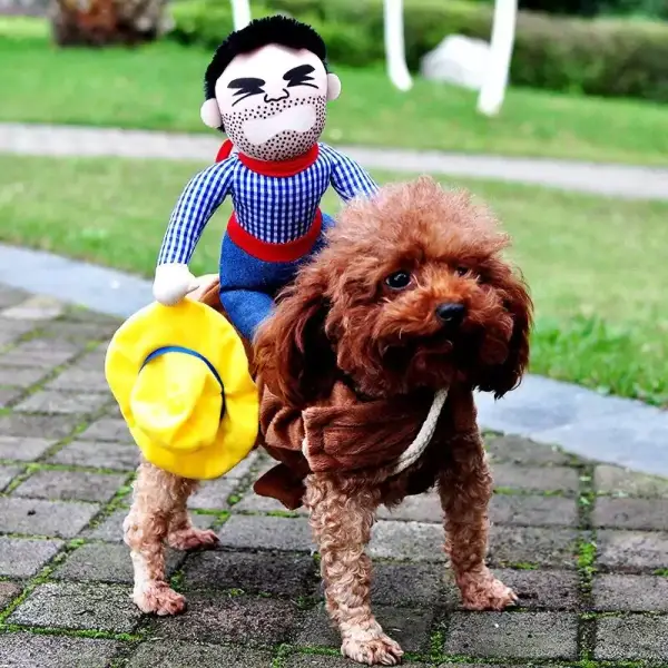 Disfraz vaquero para perros Disfraz vaquero para perros