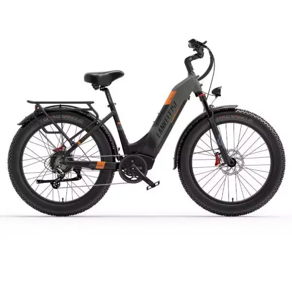 Bicicleta eléctrica Lenkeleisi MG600 1000W Bicicleta eléctrica Lenkeleisi MG600 1000W