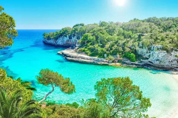 Vuelos directos a Palma de Mallorca por trayecto Vuelos directos a Palma de Mallorca por trayecto