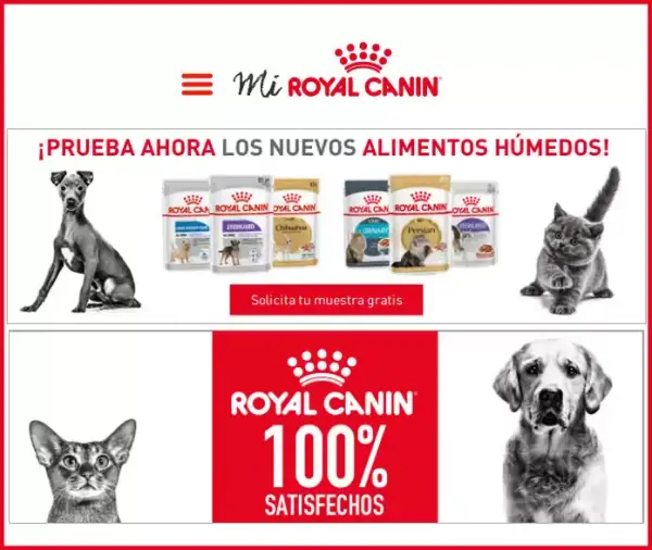 Muestra de comida para gatos en Mi Royal Canin Muestra de comida para gatos en Mi Royal Canin