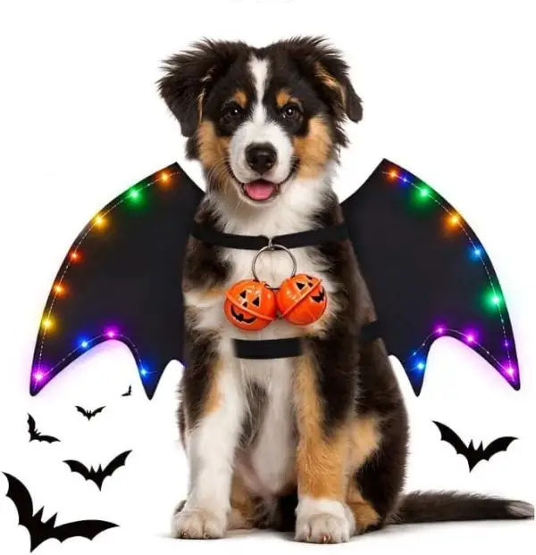 Disfraz Halloween Perro Disfraz Halloween Perro