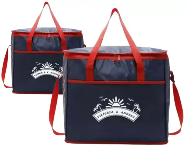 Pack de 2 bolsas de nevera para la playa de 18L y 9L Pack de 2 bolsas de nevera para la playa de 18L y 9L