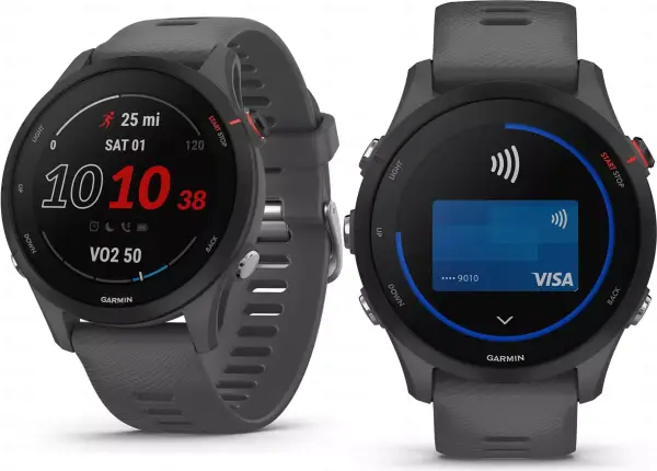 Smartwatch Garmin Forerunner 255 Smartwatch Garmin Forerunner 255