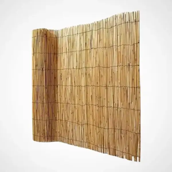Bambú Pelado 1x5m Bambú Pelado 1x5m