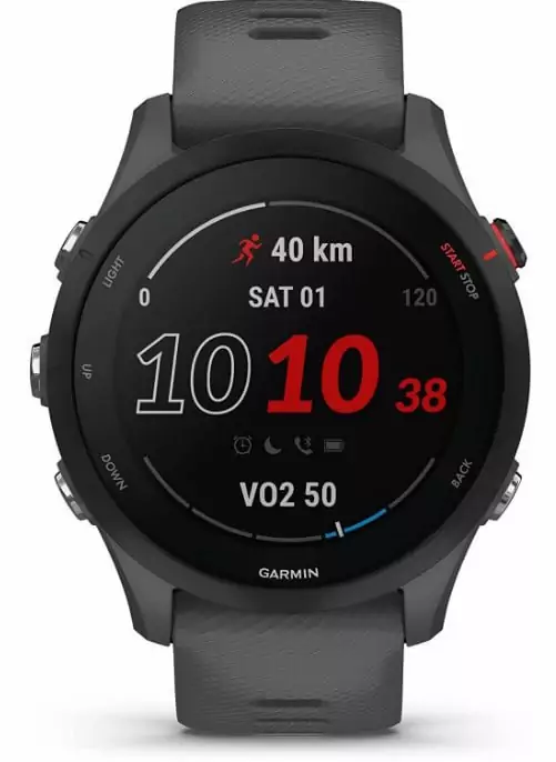 Smartwatch Garmin Forerunner 255 Smartwatch Garmin Forerunner 255