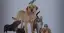 Imagen de la categoria Animales