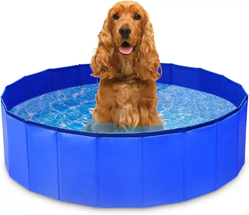 Piscina para Perros de diferentes medidas Piscina para Perros de diferentes medidas