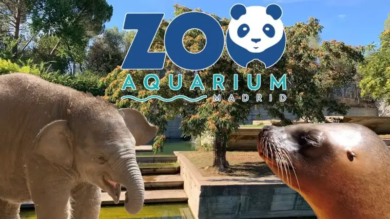 Descuento del 70% en la segunda entrada al Zoológico Madrid Descuento del 70% en la segunda entrada al Zoológico Madrid