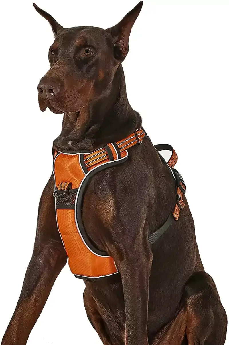 Arnés Perro Antitirones Extra Grande Lesure Arnés Perro Antitirones Extra Grande Lesure