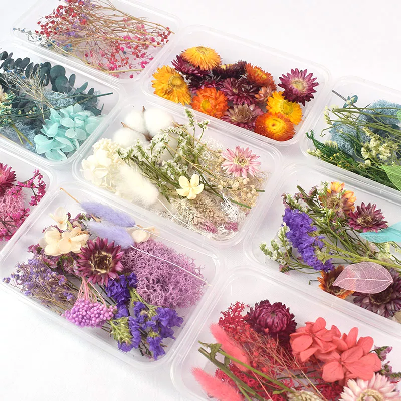 Caja de flores secas Caja de flores secas