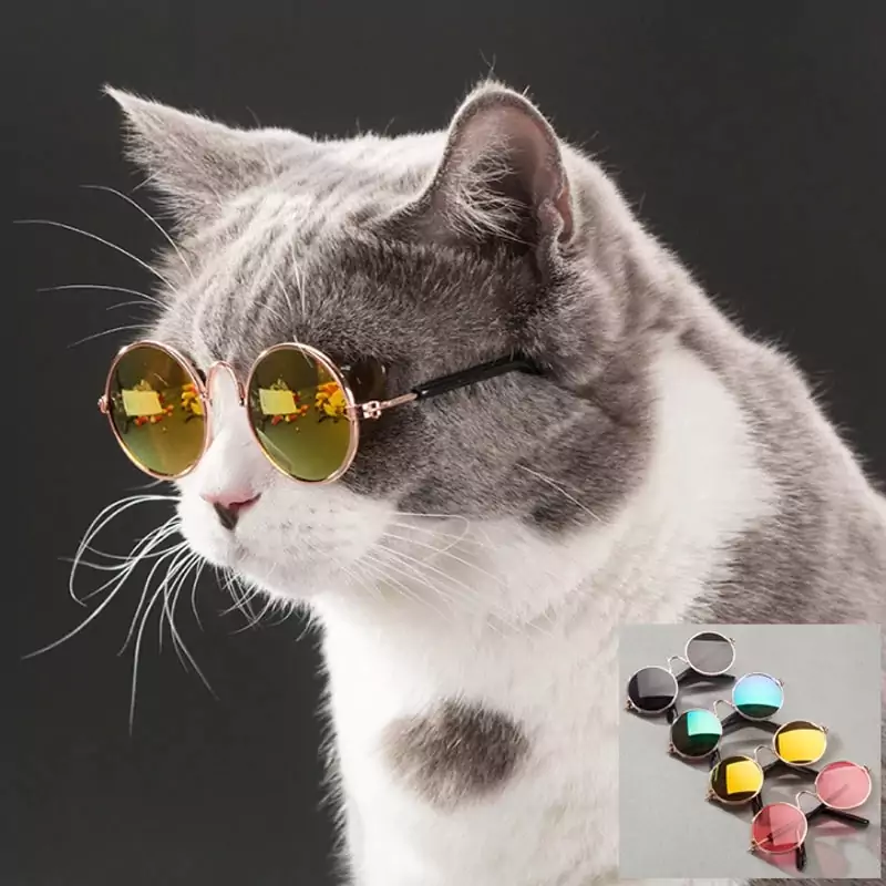 Gafas de sol para gatos Gafas de sol para gatos