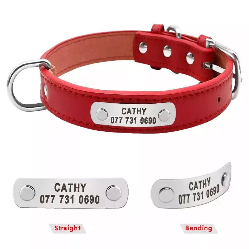 Collar para perros personalizado Collar para perros personalizado