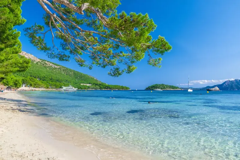 Mallorca: Vuelos + 7 noches en hotel 4⭐️ Mallorca: Vuelos + 7 noches en hotel 4⭐️