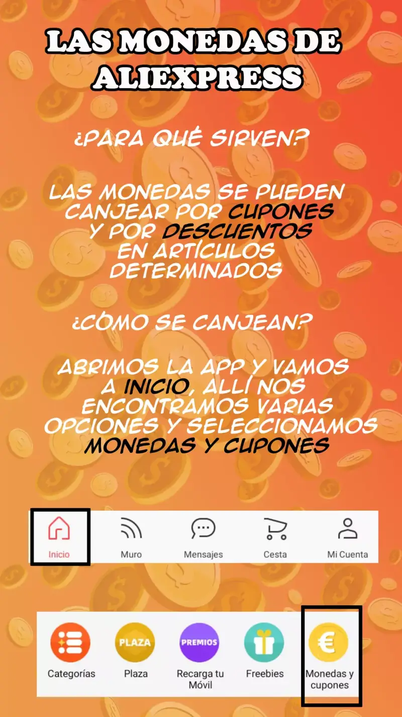 Guía de monedas 1