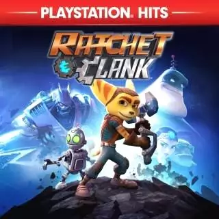 513530.jpg