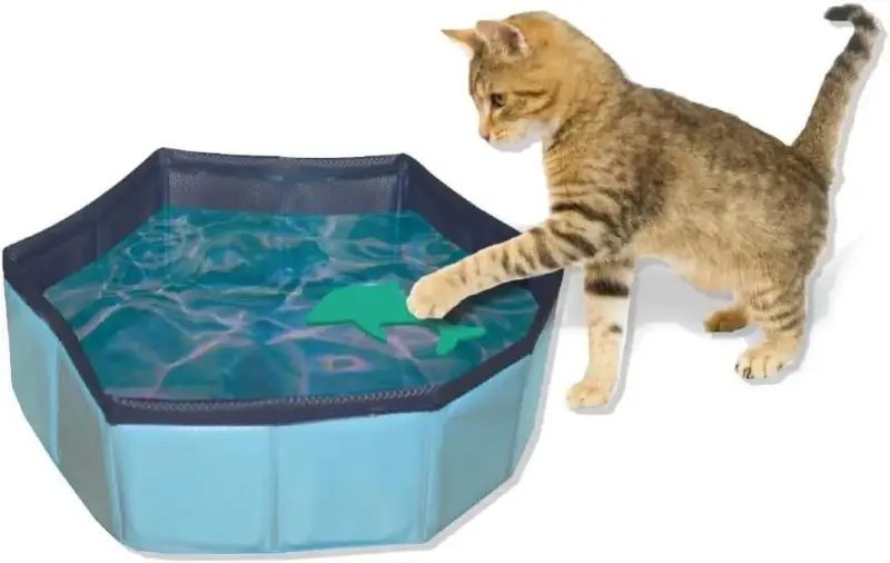 Piscina Plegable mascotas 30 x 10 cm Piscina Plegable mascotas 30 x 10 cm