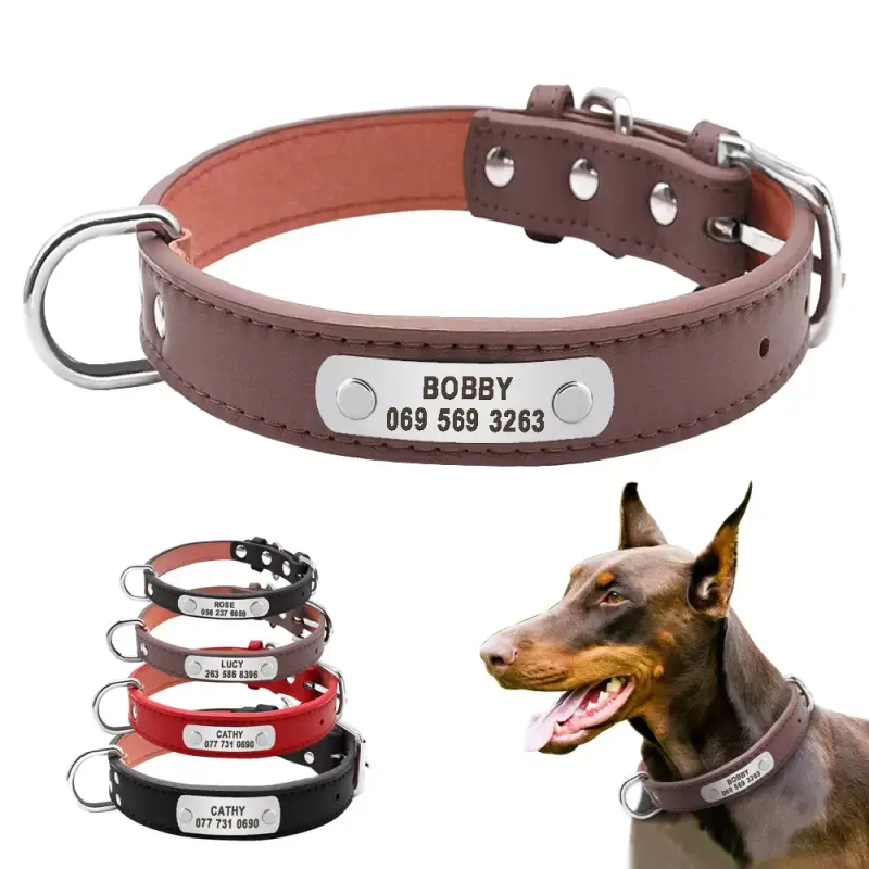 Collar para perros personalizado Collar para perros personalizado