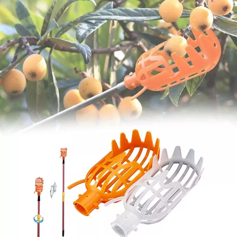 Cesta para fruta Cesta para fruta