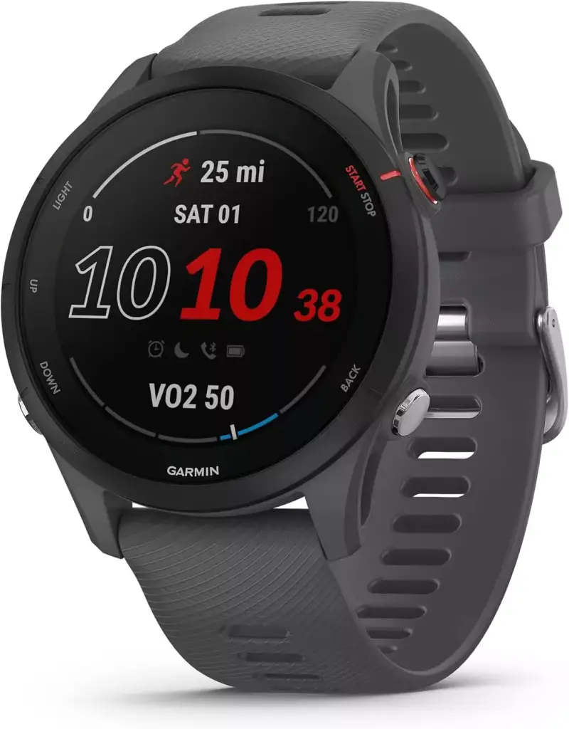 Garmin Forerunner 255 Garmin Forerunner 255