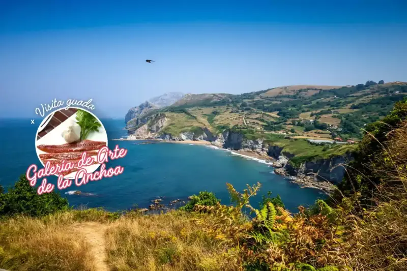 Escapada a Laredo con desayuno y visita a la Galería de la Anchoa Escapada a Laredo con desayuno y visita a la Galería de la Anchoa
