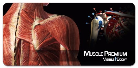 Muscle Premium (Android / iOS) 0,99€