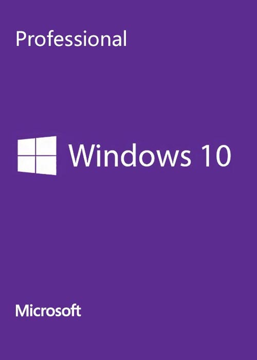 Windows 10 Professional (OEM)