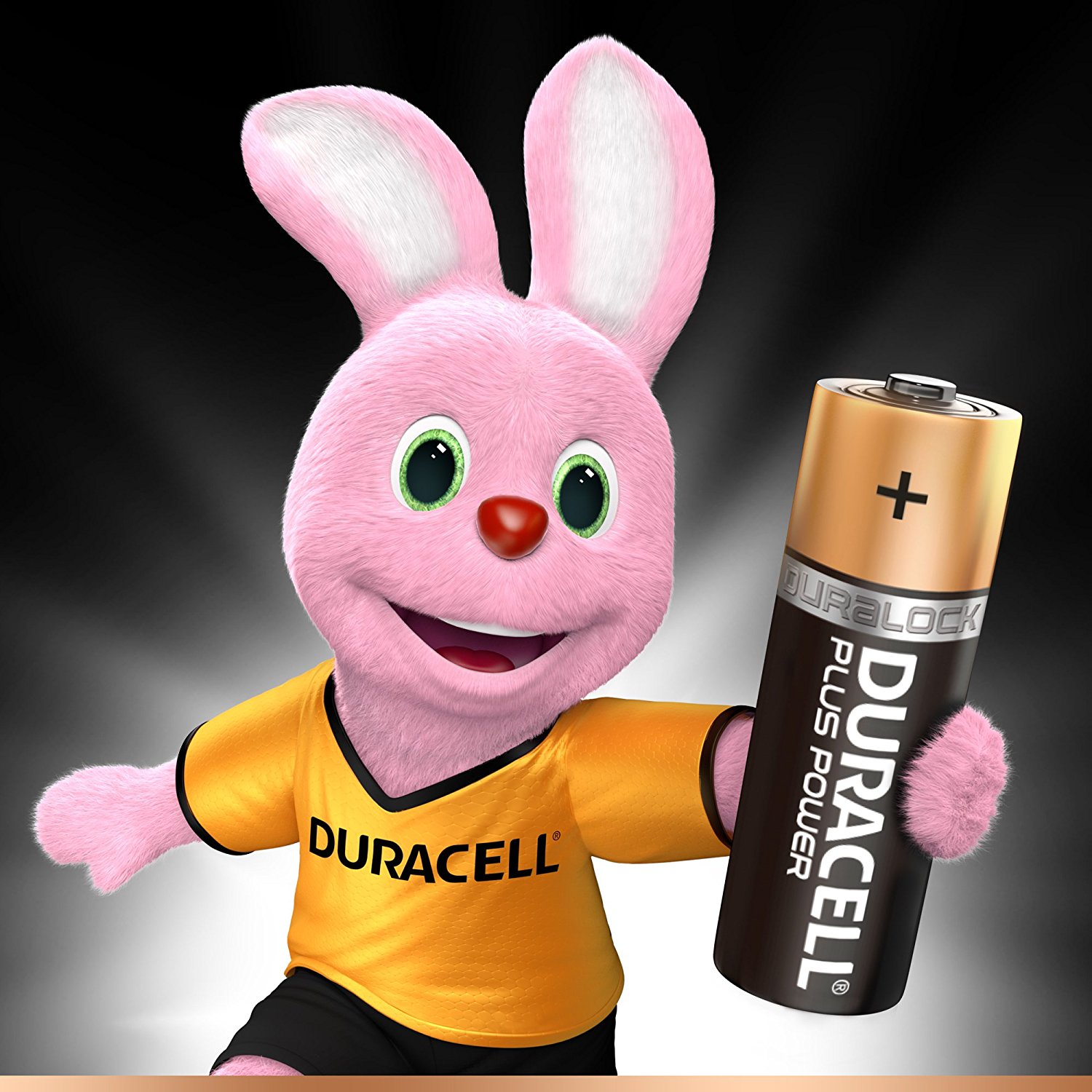 Duracell Plus Power Pilas Alcalinas AA, paquete de 12