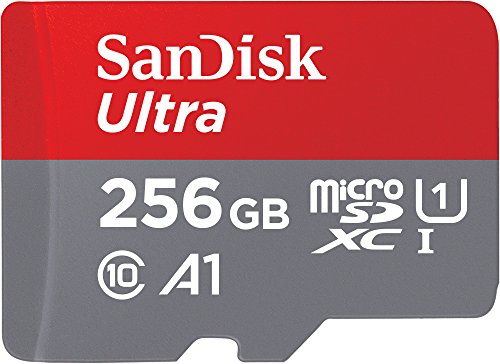Tarjeta Sandisk 256GB solo 36€