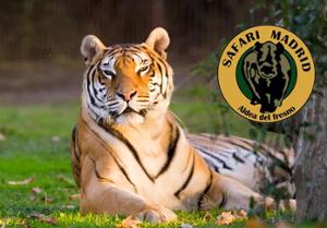 1 niño gratis o 6€ de descuento por vehículo en Safari Madrid