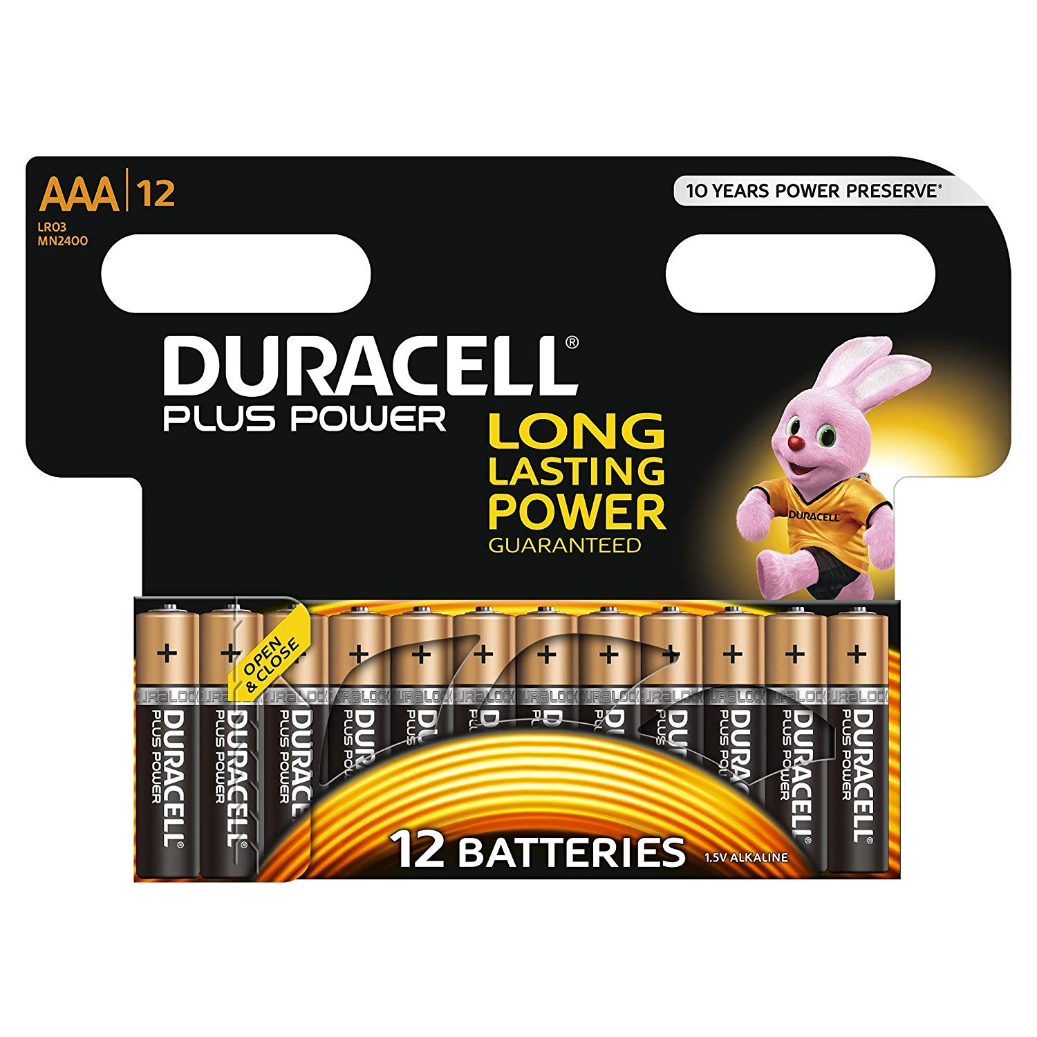 12 pilas Duracell Plus Power
