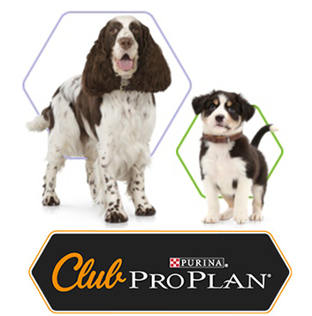 Regalos para tu mascota GRATIS: Haz feliz a tu perro uniéndote al Club Pro Plan