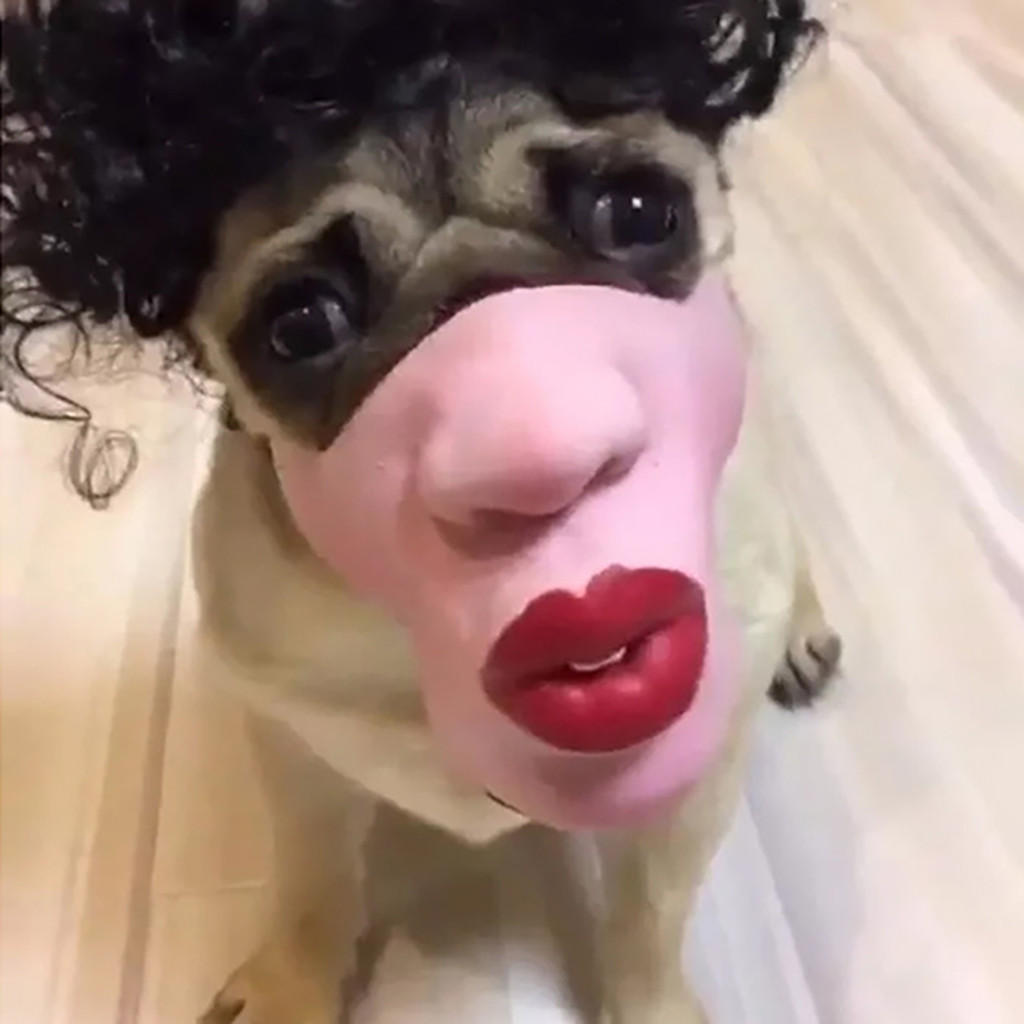 Máscara con labios grandes para mascota solo 7,8€