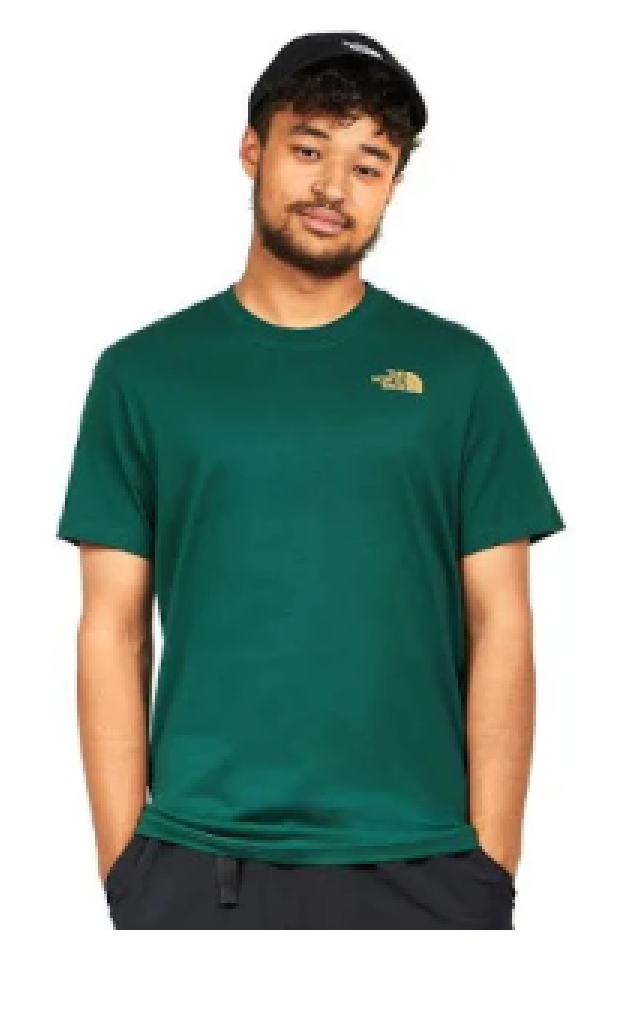 Camiseta The North Face para hombre solo 19,4€
